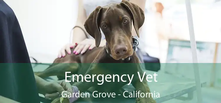 Emergency Vet Garden Grove - California