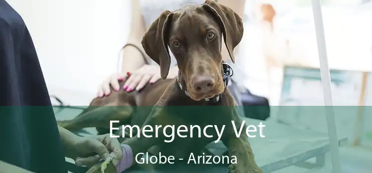 Emergency Vet Globe - Arizona