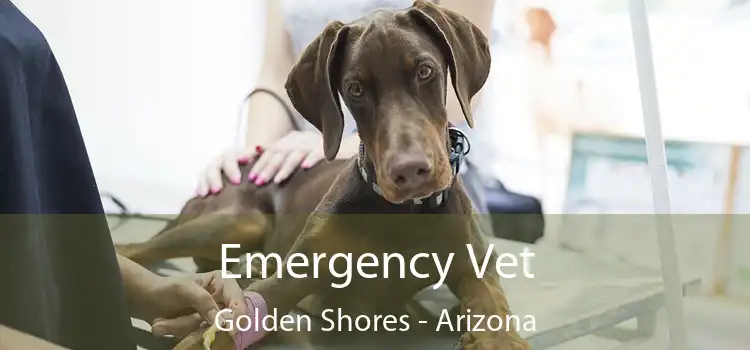 Emergency Vet Golden Shores - Arizona