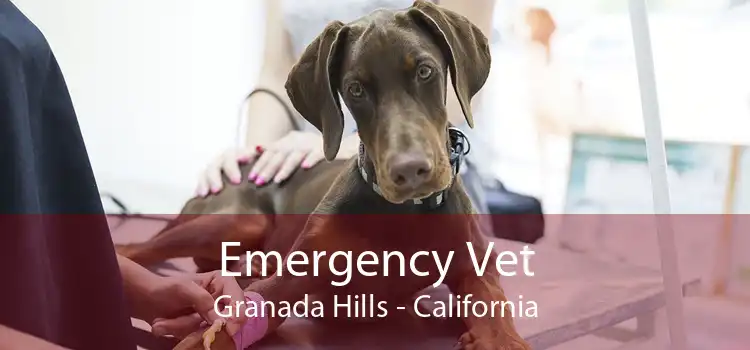 Emergency Vet Granada Hills - California