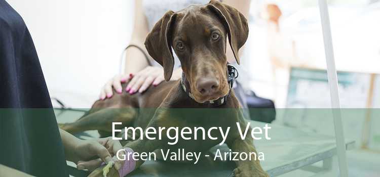 Emergency Vet Green Valley - Arizona