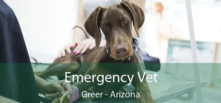 Emergency Vet Greer - Arizona