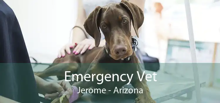Emergency Vet Jerome - Arizona