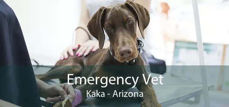 Emergency Vet Kaka - Arizona
