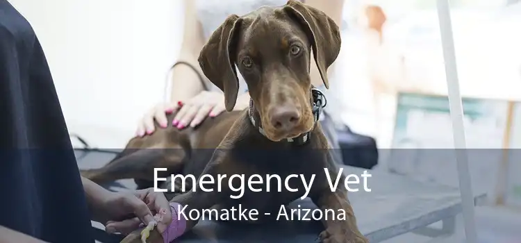 Emergency Vet Komatke - Arizona
