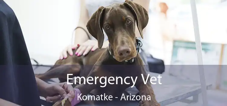 Emergency Vet Komatke - Arizona