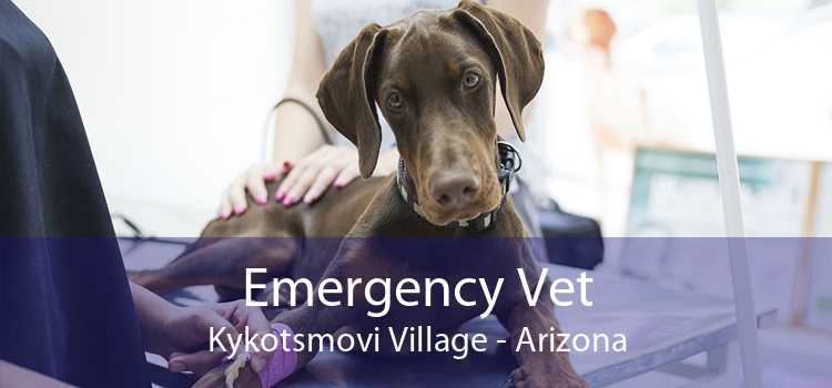 Emergency Vet Kykotsmovi Village - Arizona