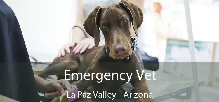 Emergency Vet La Paz Valley - Arizona