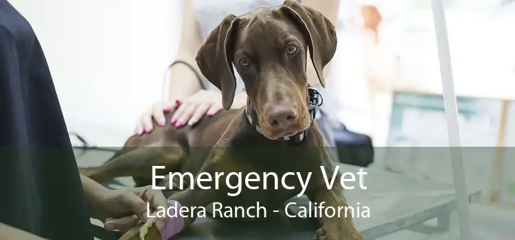 Emergency Vet Ladera Ranch - California