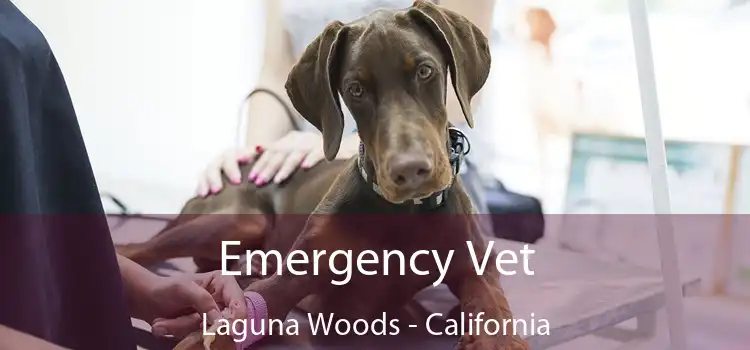 Emergency Vet Laguna Woods - California