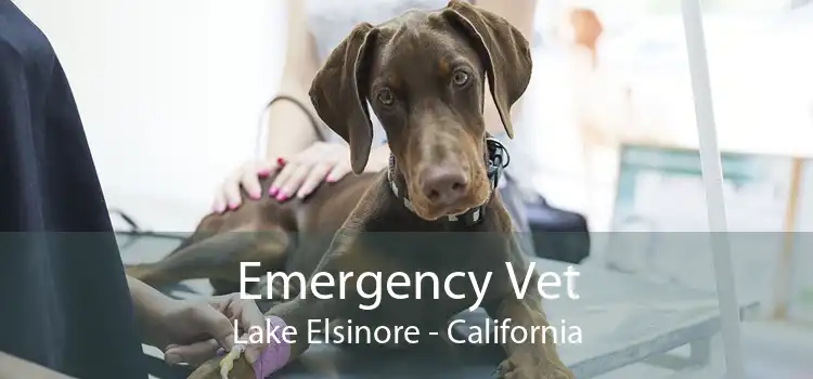 Emergency Vet Lake Elsinore - California