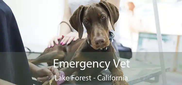 Emergency Vet Lake Forest - California