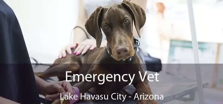 Emergency Vet Lake Havasu City - Arizona