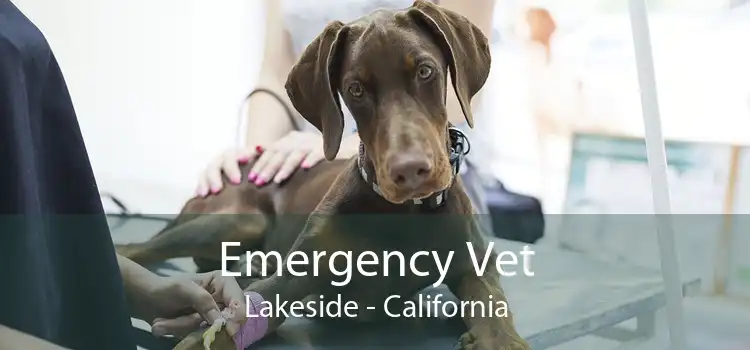 Emergency Vet Lakeside - California