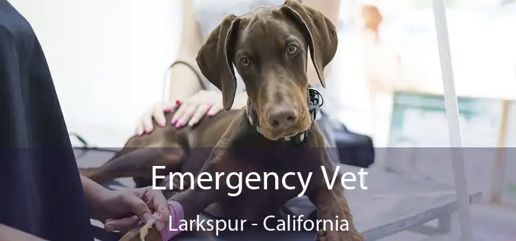 Emergency Vet Larkspur - California