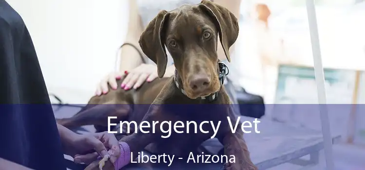 Emergency Vet Liberty - Arizona