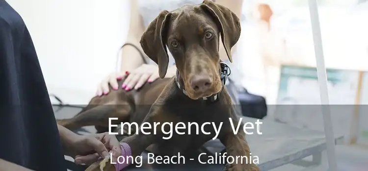 Emergency Vet Long Beach - California