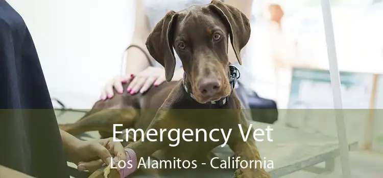 Emergency Vet Los Alamitos - California