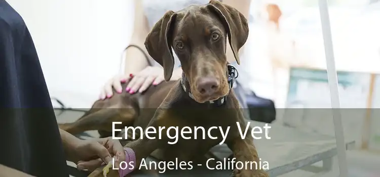 Emergency Vet Los Angeles - California