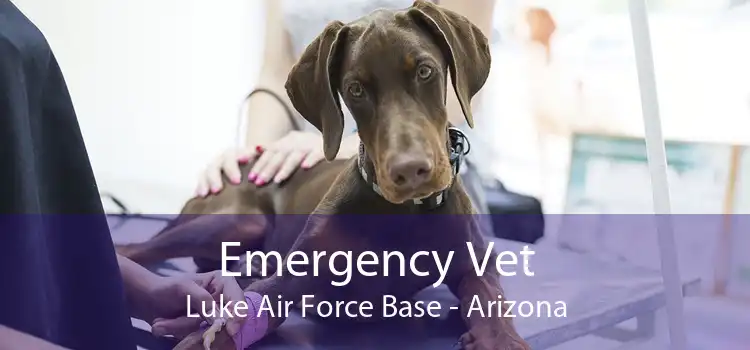 Emergency Vet Luke Air Force Base - Arizona
