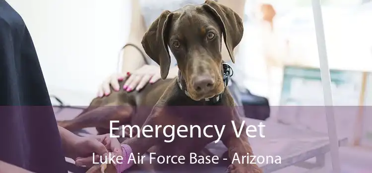 Emergency Vet Luke Air Force Base - Arizona