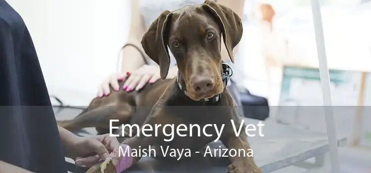 Emergency Vet Maish Vaya - Arizona