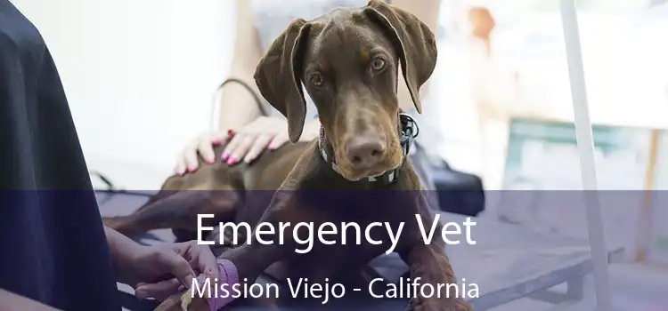 Emergency Vet Mission Viejo - California