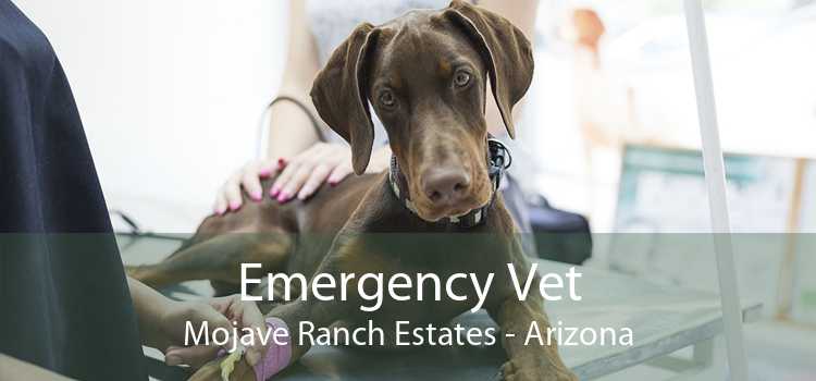 Emergency Vet Mojave Ranch Estates - Arizona
