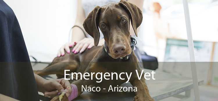 Emergency Vet Naco - Arizona