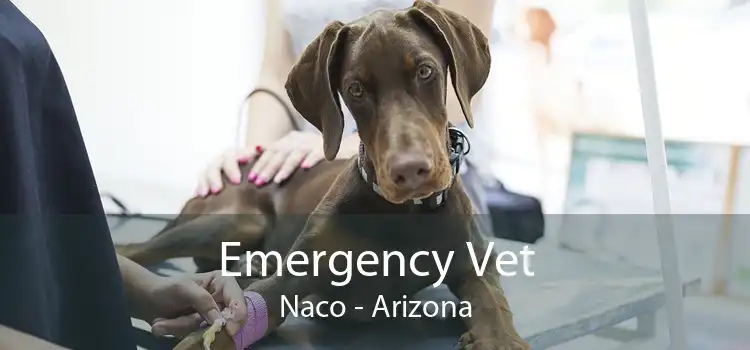 Emergency Vet Naco - Arizona
