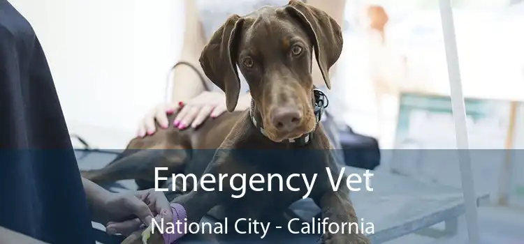 Emergency Vet National City - California