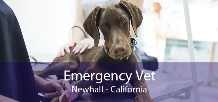 Emergency Vet Newhall - California