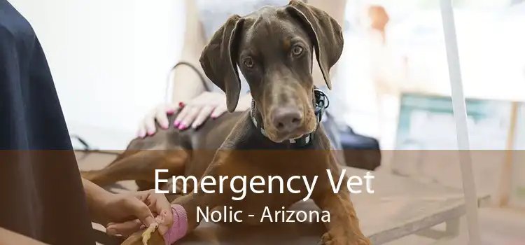 Emergency Vet Nolic - Arizona