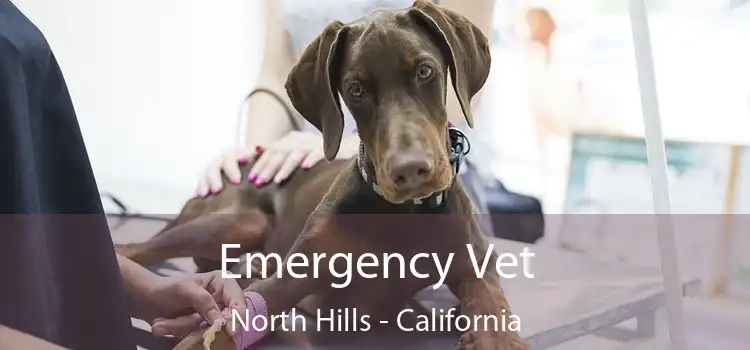 Emergency Vet North Hills - California