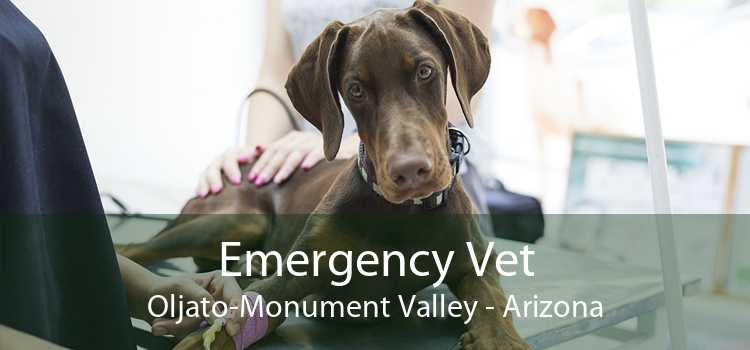 Emergency Vet Oljato-Monument Valley - Arizona