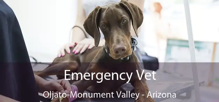 Emergency Vet Oljato-Monument Valley - Arizona