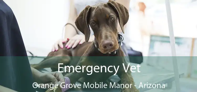 Emergency Vet Orange Grove Mobile Manor - Arizona