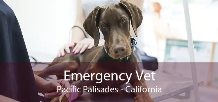 Emergency Vet Pacific Palisades - California