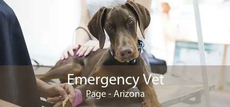 Emergency Vet Page - Arizona
