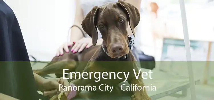 Emergency Vet Panorama City - California