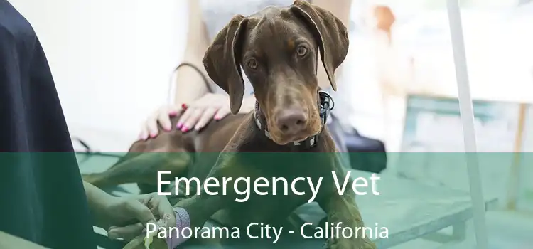 Emergency Vet Panorama City - California