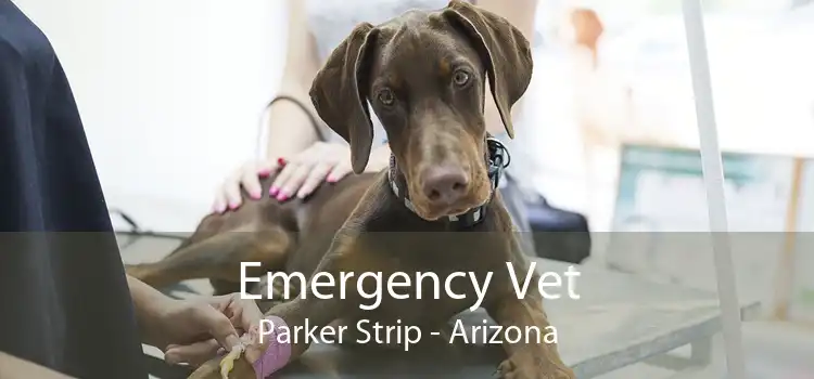 Emergency Vet Parker Strip - Arizona