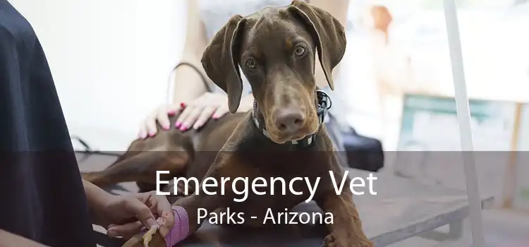 Emergency Vet Parks - Arizona
