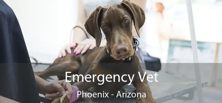 Emergency Vet Phoenix - Arizona