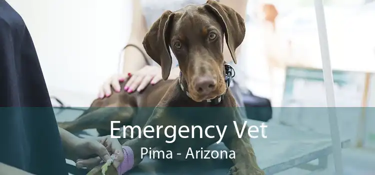 Emergency Vet Pima - Arizona
