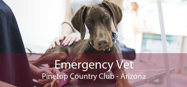 Emergency Vet Pinetop Country Club - Arizona