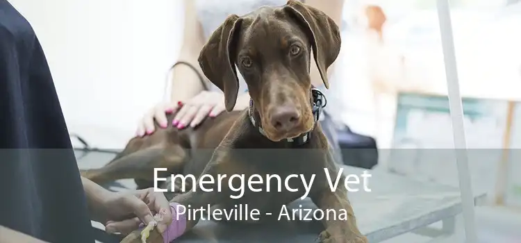 Emergency Vet Pirtleville - Arizona