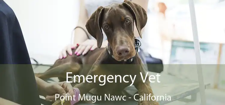 Emergency Vet Point Mugu Nawc - California