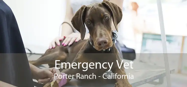 Emergency Vet Porter Ranch - California