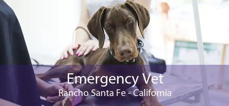 Emergency Vet Rancho Santa Fe - California
